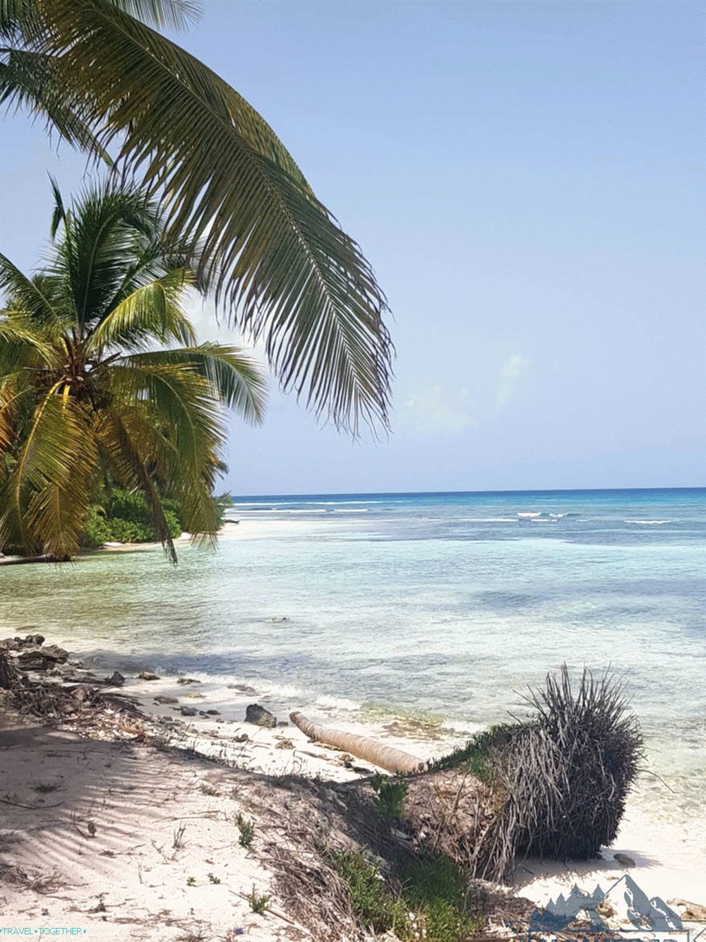 Plaža otok saona Dominicana