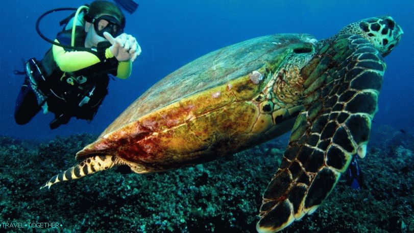 Potapljanje na otokih Similan