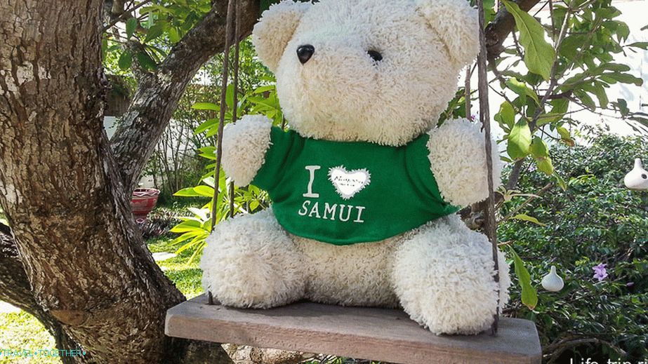 Koliko denarja bo prevzel Samui