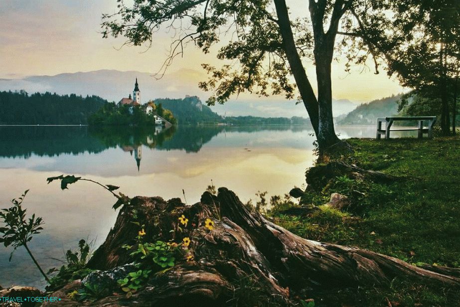 Blejsko jezero