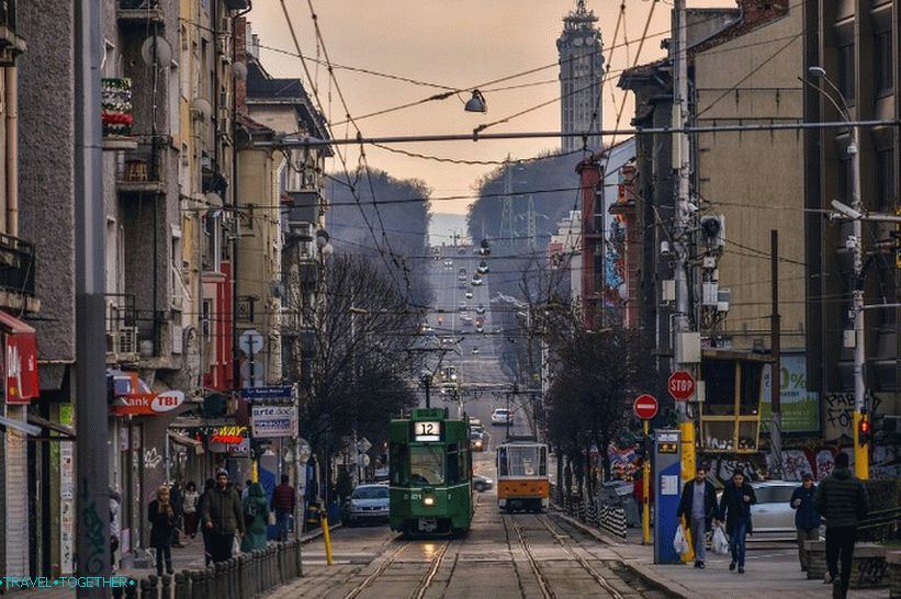 Sofia