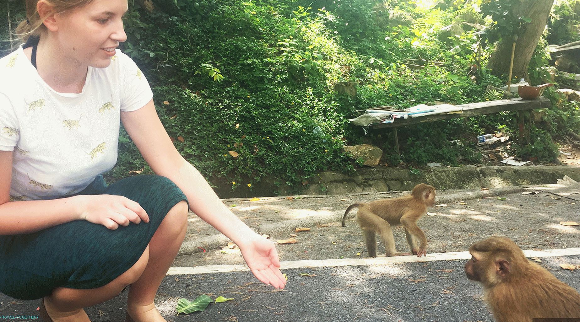 Izlet na opice v Phuket - Monkey hill