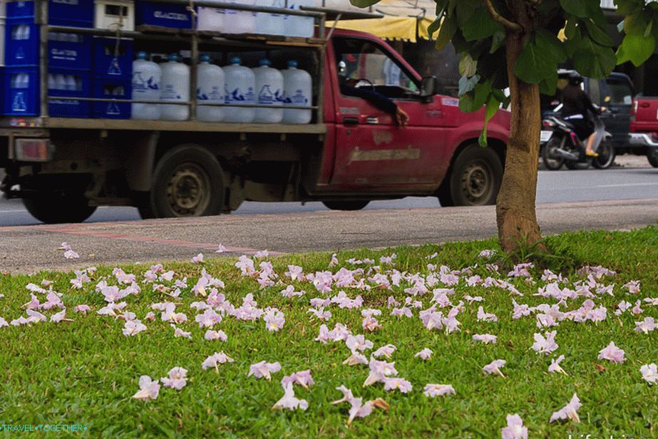 Hoja po mestu Chiang Mai