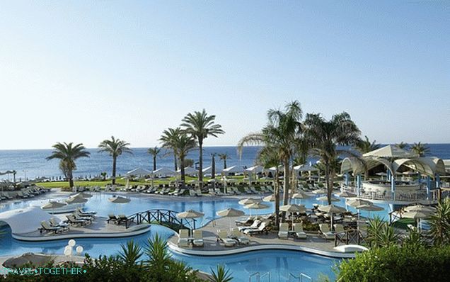 rodos-palladium-rh_3522055b