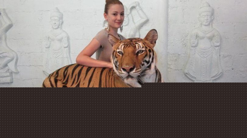 Tiger Zoo in akvarij na Samui