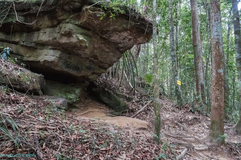 Treking po cesti Kaek v Krabiju - boljši od gora, lahko so samo gore