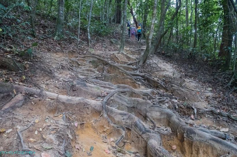 Treking po cesti Kaek v Krabiju - boljši od gora, lahko so samo gore