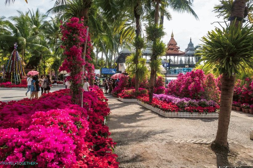 Tropski park Nong Nooch v Pattayi je glavna atrakcija