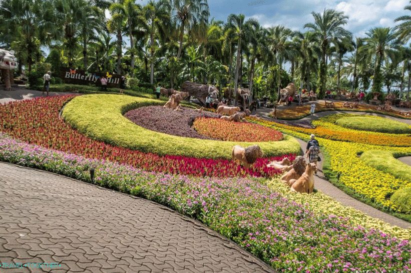 Tropski park Nong Nooch v Pattayi je glavna atrakcija