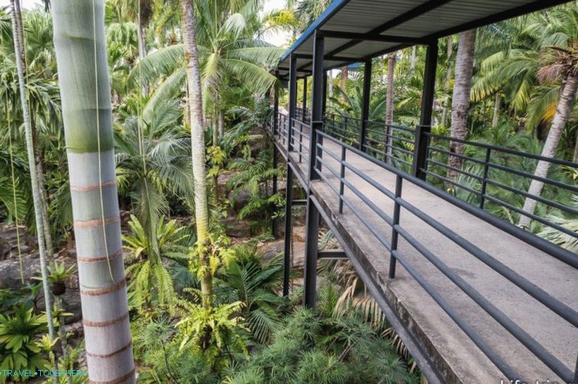 Tropski park Nong Nooch v Pattayi je glavna atrakcija