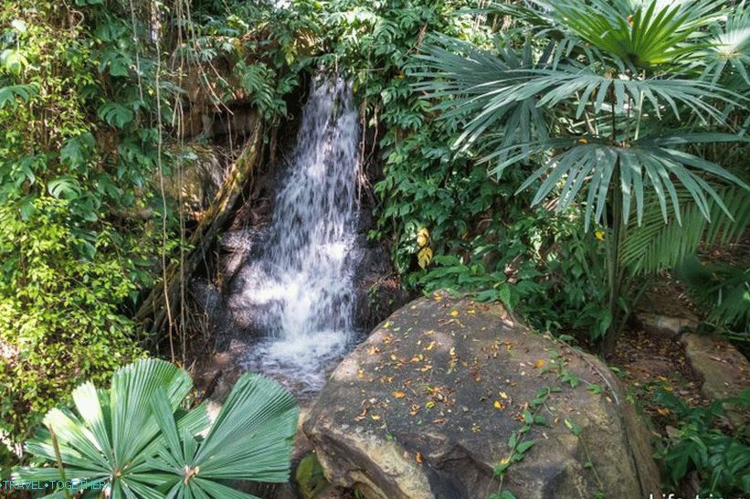 Tropski park Nong Nooch v Pattayi je glavna atrakcija