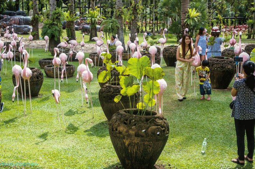 Tropski park Nong Nooch v Pattayi je glavna atrakcija