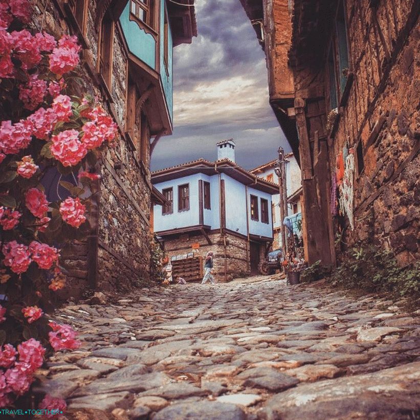 Bursa