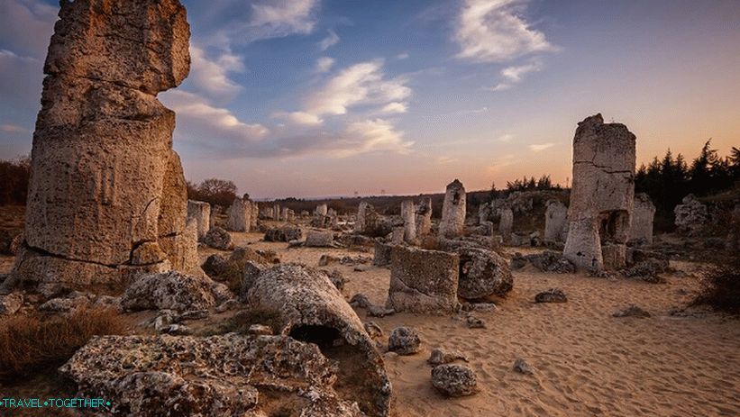 Stone Forest