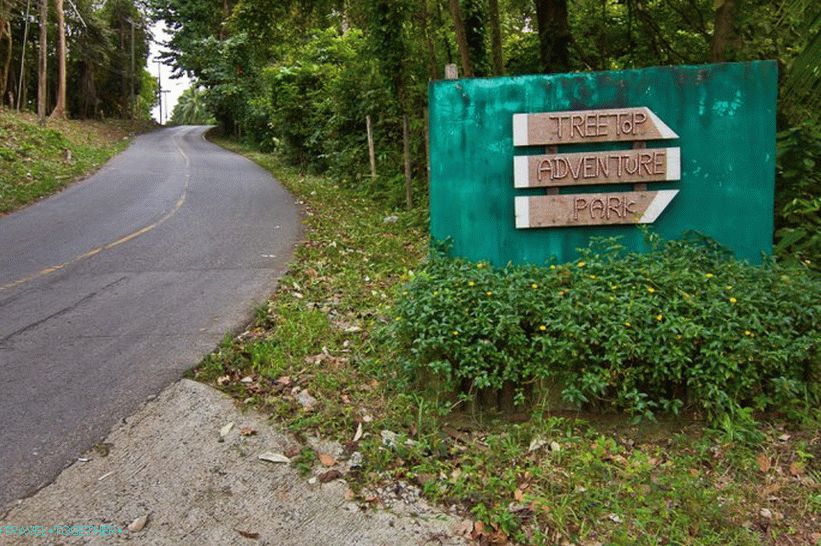 Zavijte na pustolovski park na vrhu drevesa