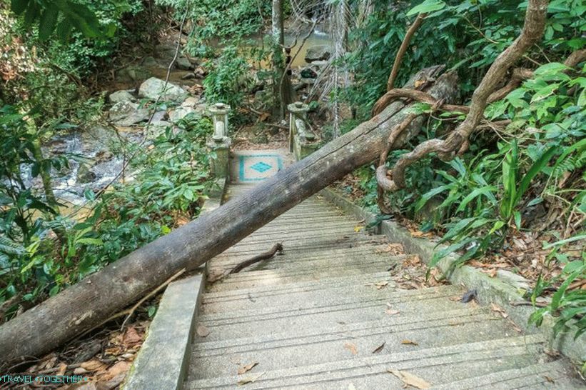 Od stopnic do divjega kaskada vodi drugo stopnišče, a že dol