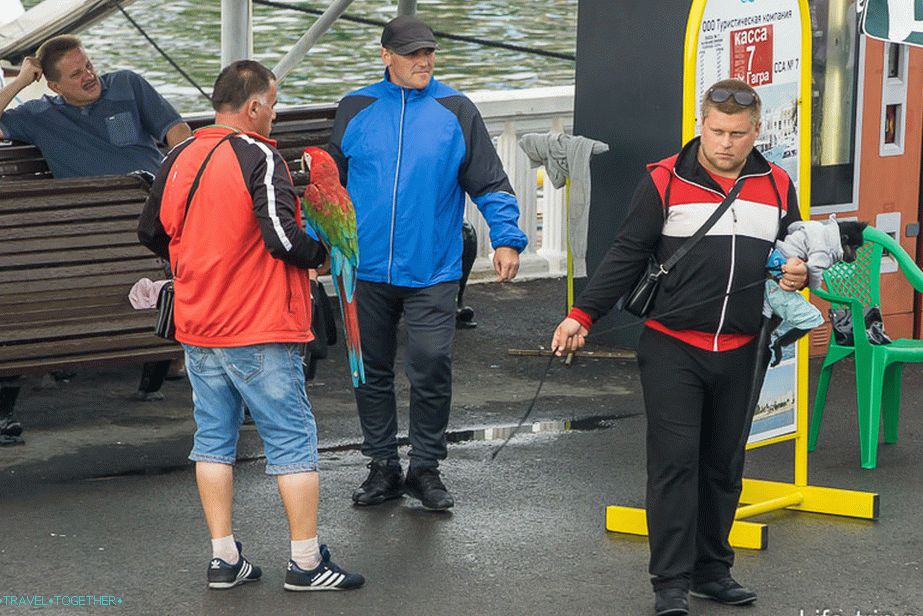 Zagotovo delajo nezakonito. Njihovi kolegi v bližnjem parku so me poskušali raztopiti za denar