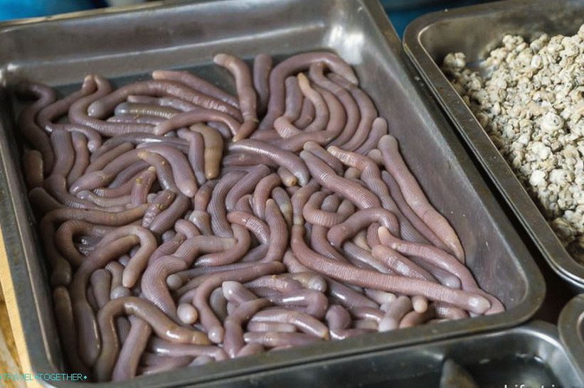 Kitajski prigrizki, mmm ...