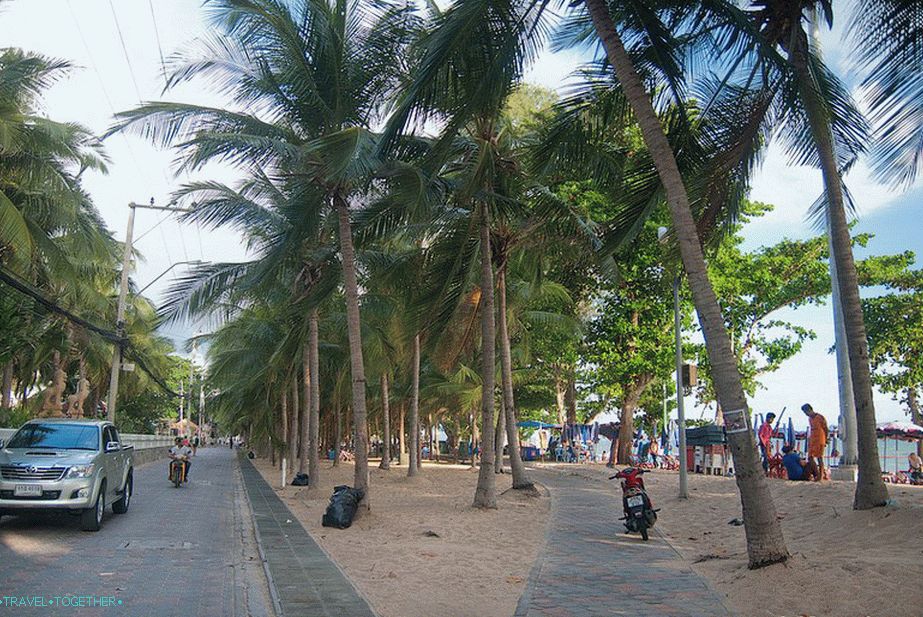 Palm Alley vzdolž plaže