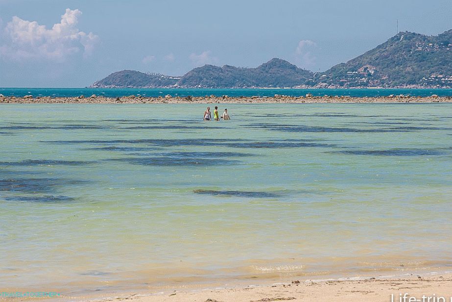 Plaža