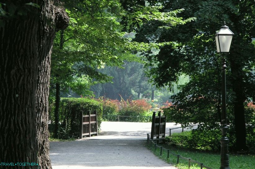 Maksimir