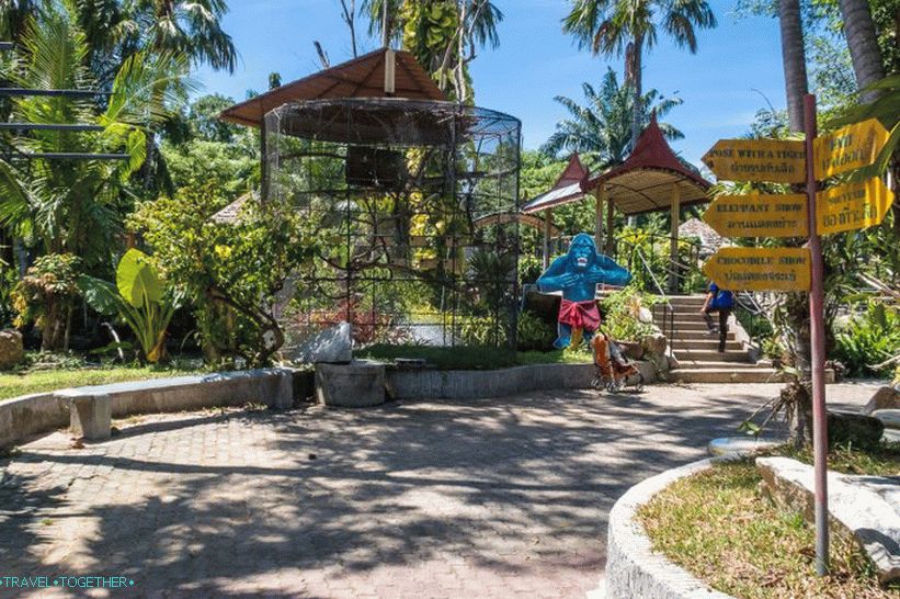 Phuket Zoo - moj pregled, cene, fotografije in urnik predstave