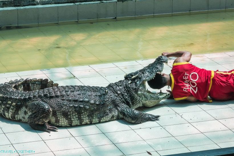 Phuket Zoo - moj pregled, cene, fotografije in urnik predstave