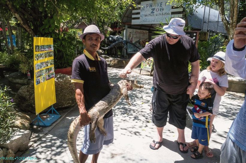 Phuket Zoo - moj pregled, cene, fotografije in urnik predstave