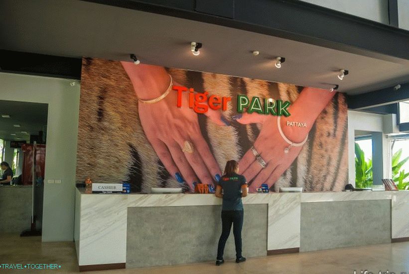 Park Tiger Reception