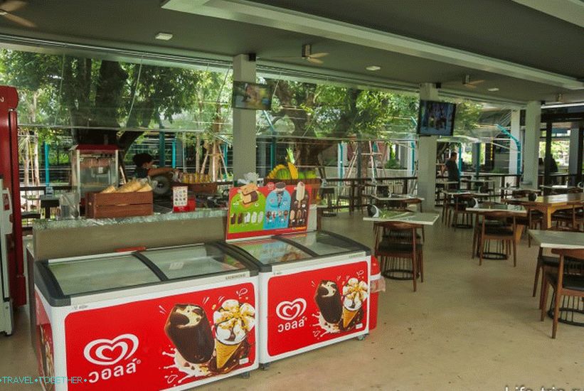 Pattaya Tiger Zoo - eksotična samoportreta z