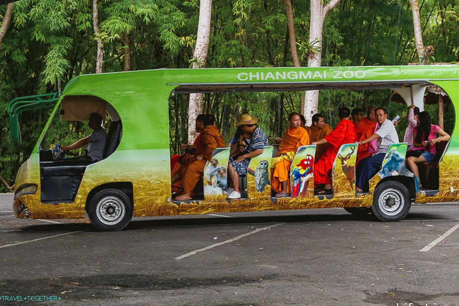 Avtobusi, ki se premikajo po živalskem vrtu