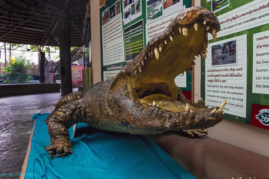 Krokodil
