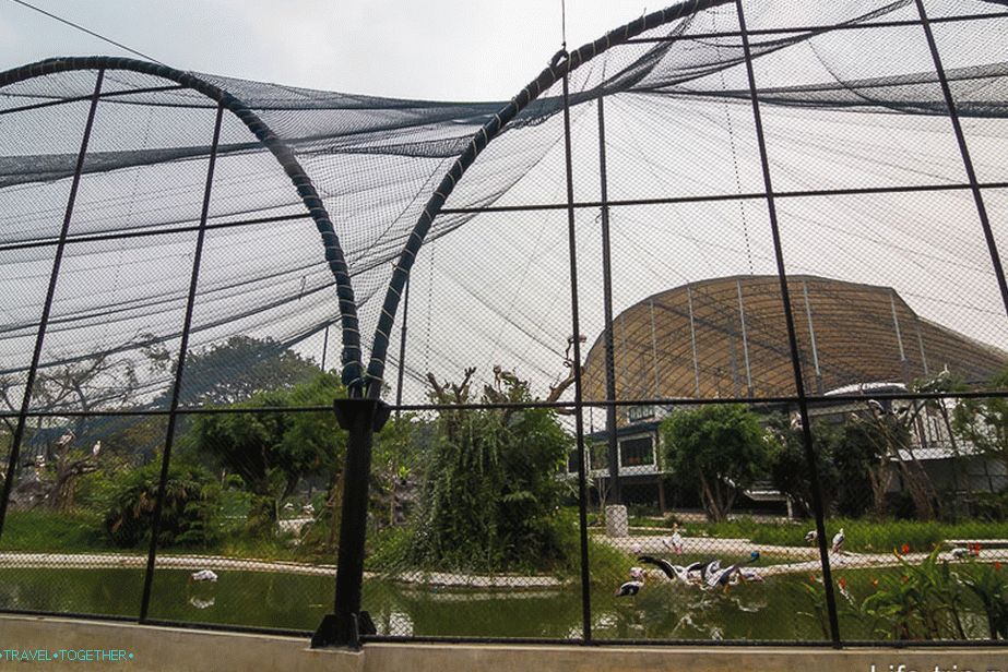 Paviljonska mreža za ptice, vendar ne more biti